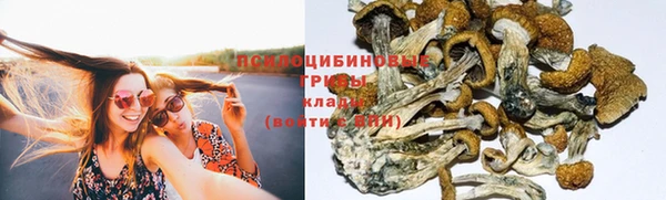 дурь Алзамай