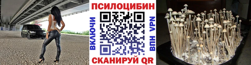 что такое наркотик  Жуков  Псилоцибиновые грибы Psilocybine cubensis 